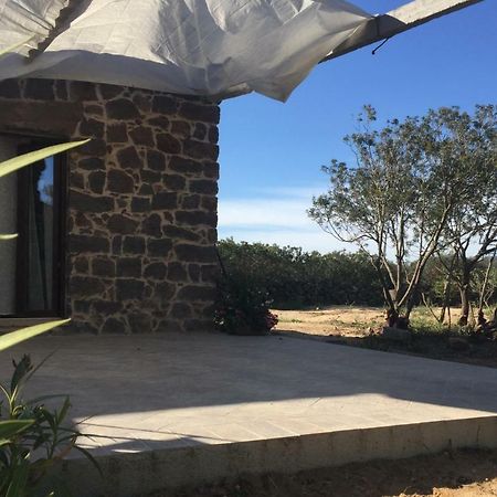 Vila Sa Domo De Mannoi Su Catreathu Orosei Exteriér fotografie