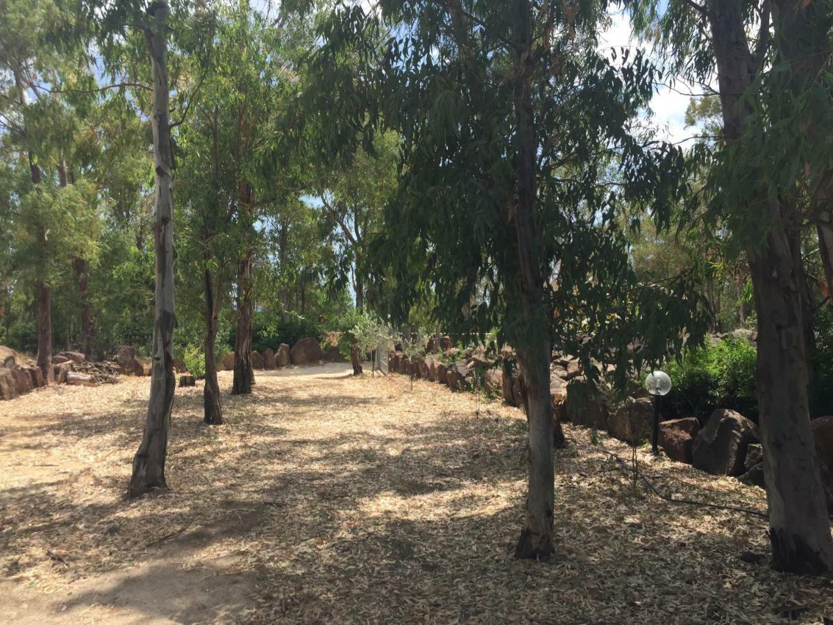 Vila Sa Domo De Mannoi Su Catreathu Orosei Exteriér fotografie